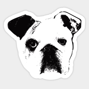 English Bulldog Sticker